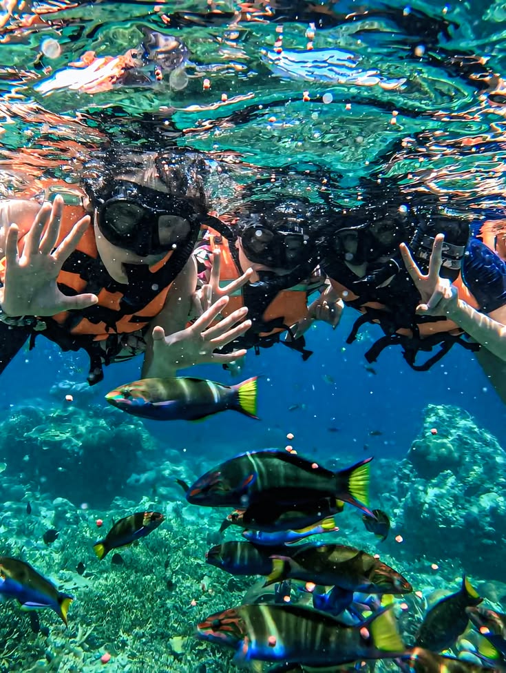 Karimunjawa Island