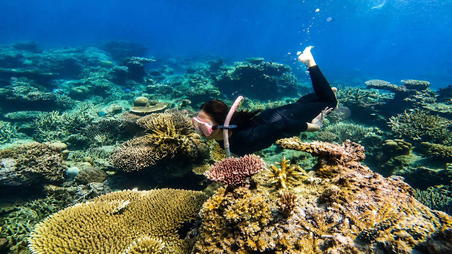 Pulau Cemara Kecil — BBQ tepi pantai Karimunjawa