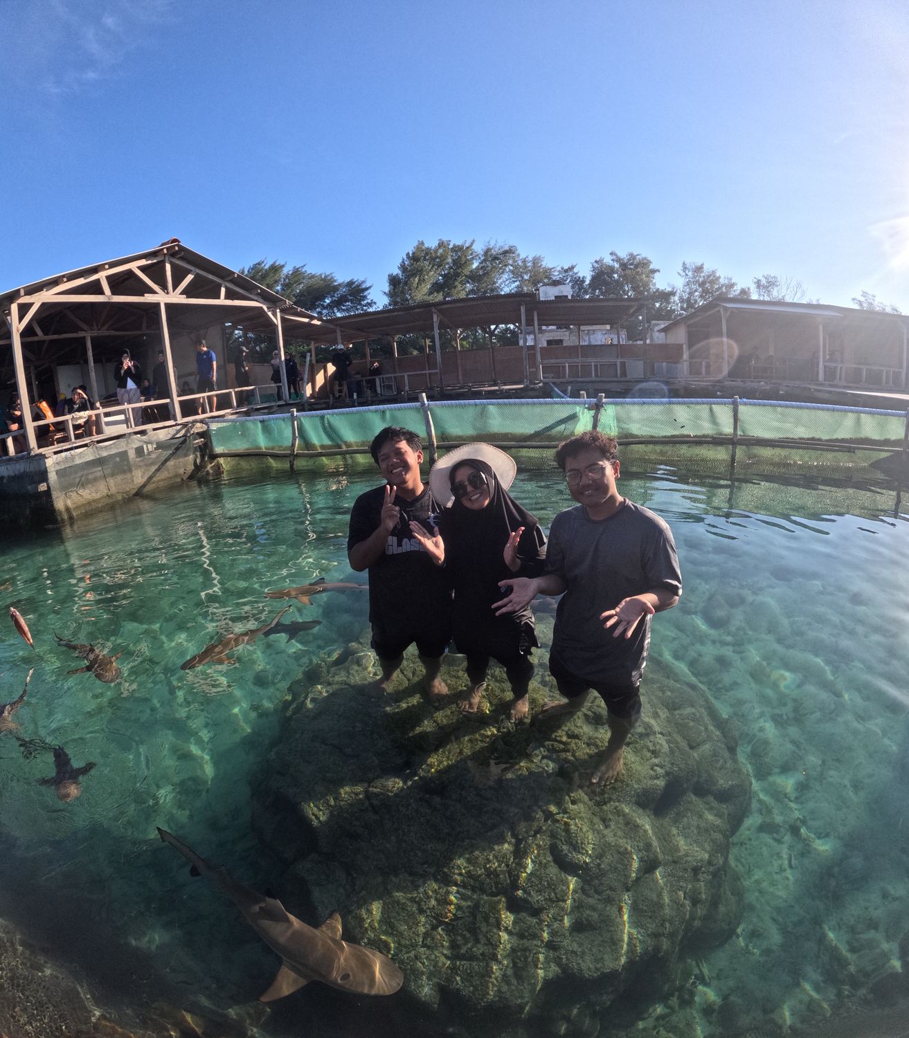 Penangkaran Hiu Karimunjawa — foto bareng hiu jinak