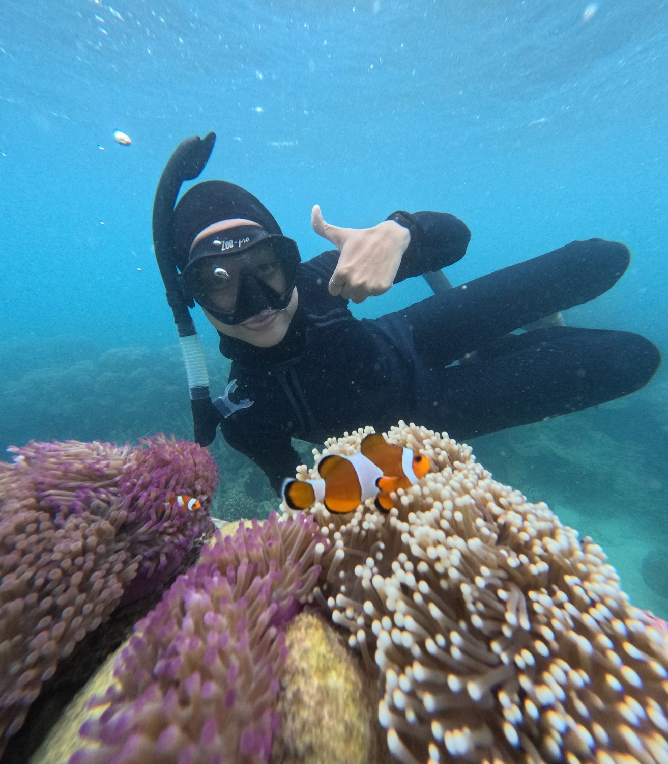 Snorkeling di Karimunjawa — laut jernih terumbu karang